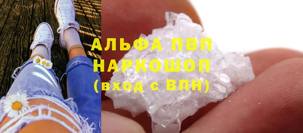 гидра Аркадак