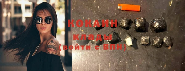 гидра Аркадак