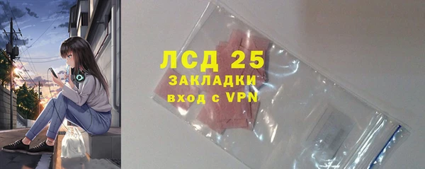 гидра Аркадак