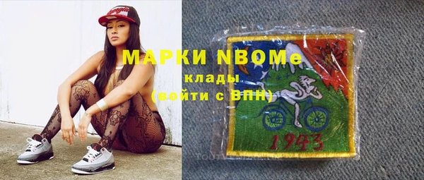 гидра Аркадак