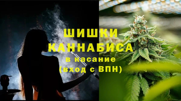 гидра Аркадак