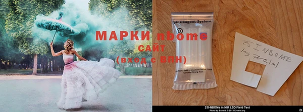 гидра Аркадак