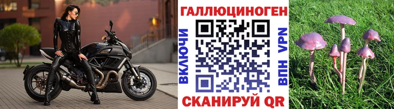 Галлюциногенные грибы GOLDEN TEACHER Нягань